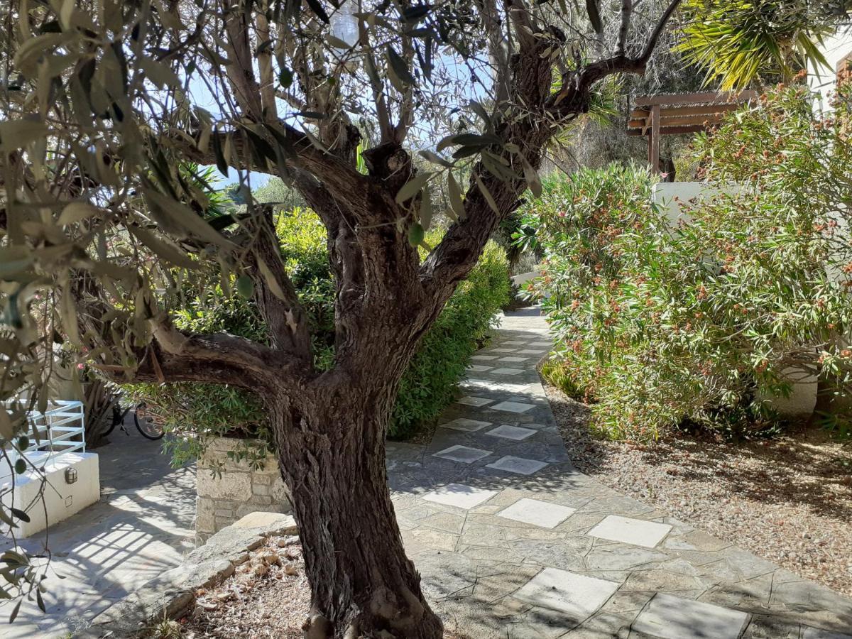 Vigla-Βίγλα 1 2 Villa Ormos  ภายนอก รูปภาพ