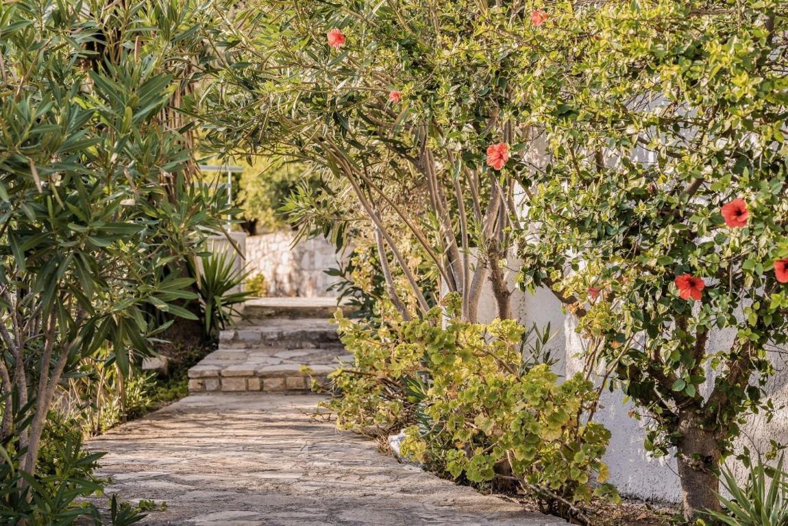 Vigla-Βίγλα 1 2 Villa Ormos  ภายนอก รูปภาพ