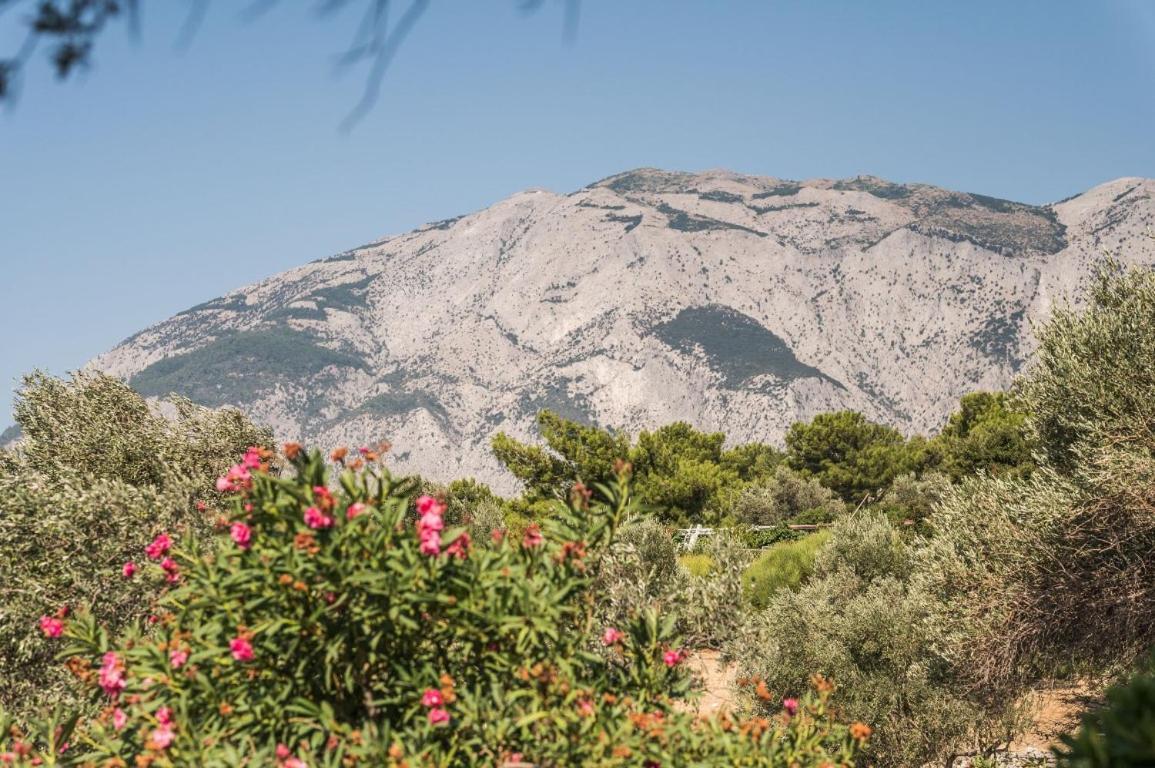 Vigla-Βίγλα 1 2 Villa Ormos  ภายนอก รูปภาพ