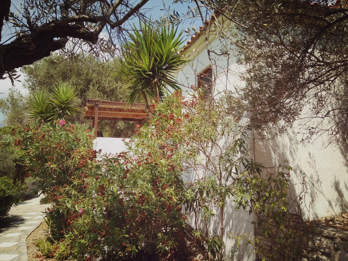 Vigla-Βίγλα 1 2 Villa Ormos  ภายนอก รูปภาพ