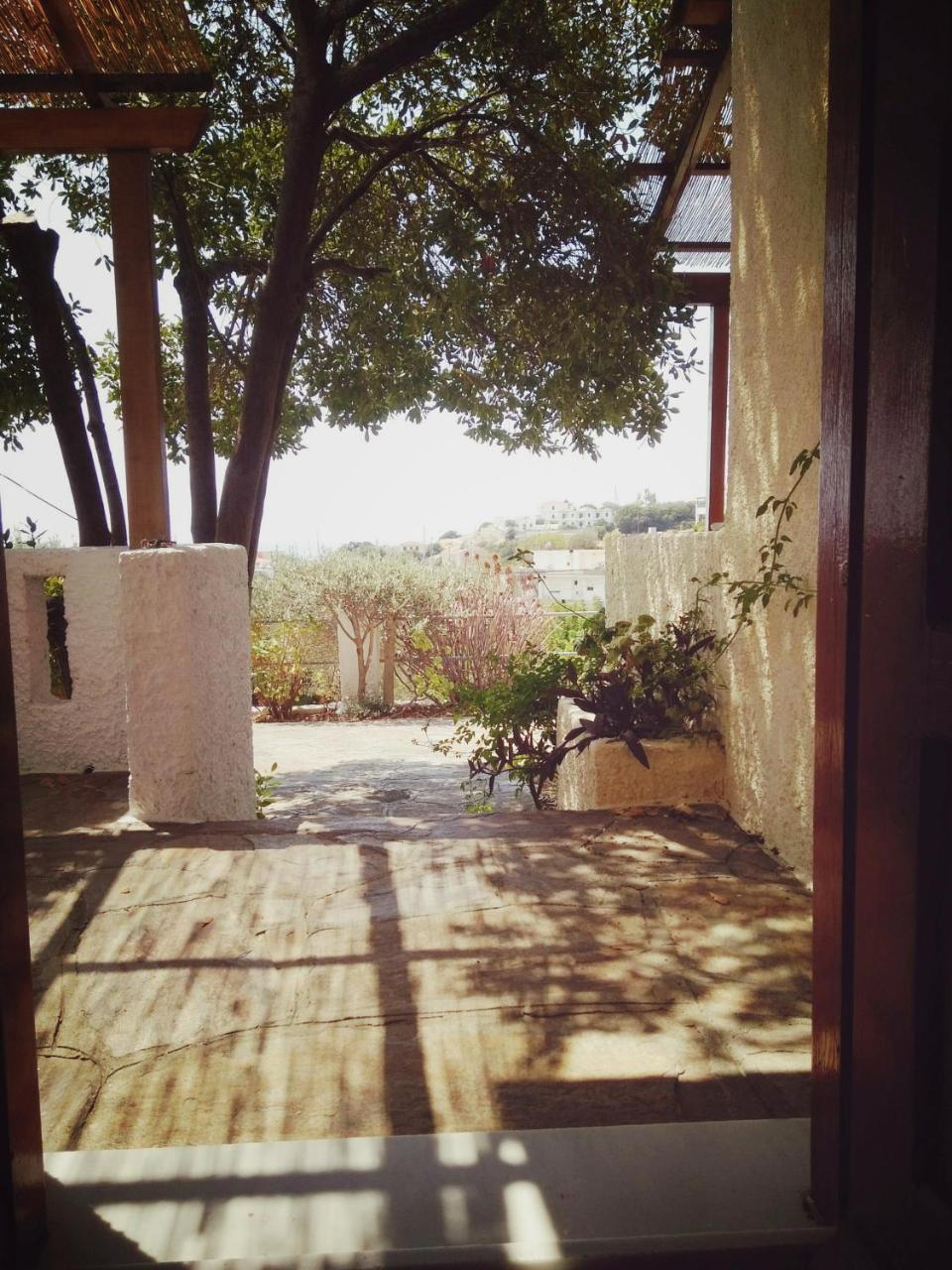 Vigla-Βίγλα 1 2 Villa Ormos  ภายนอก รูปภาพ
