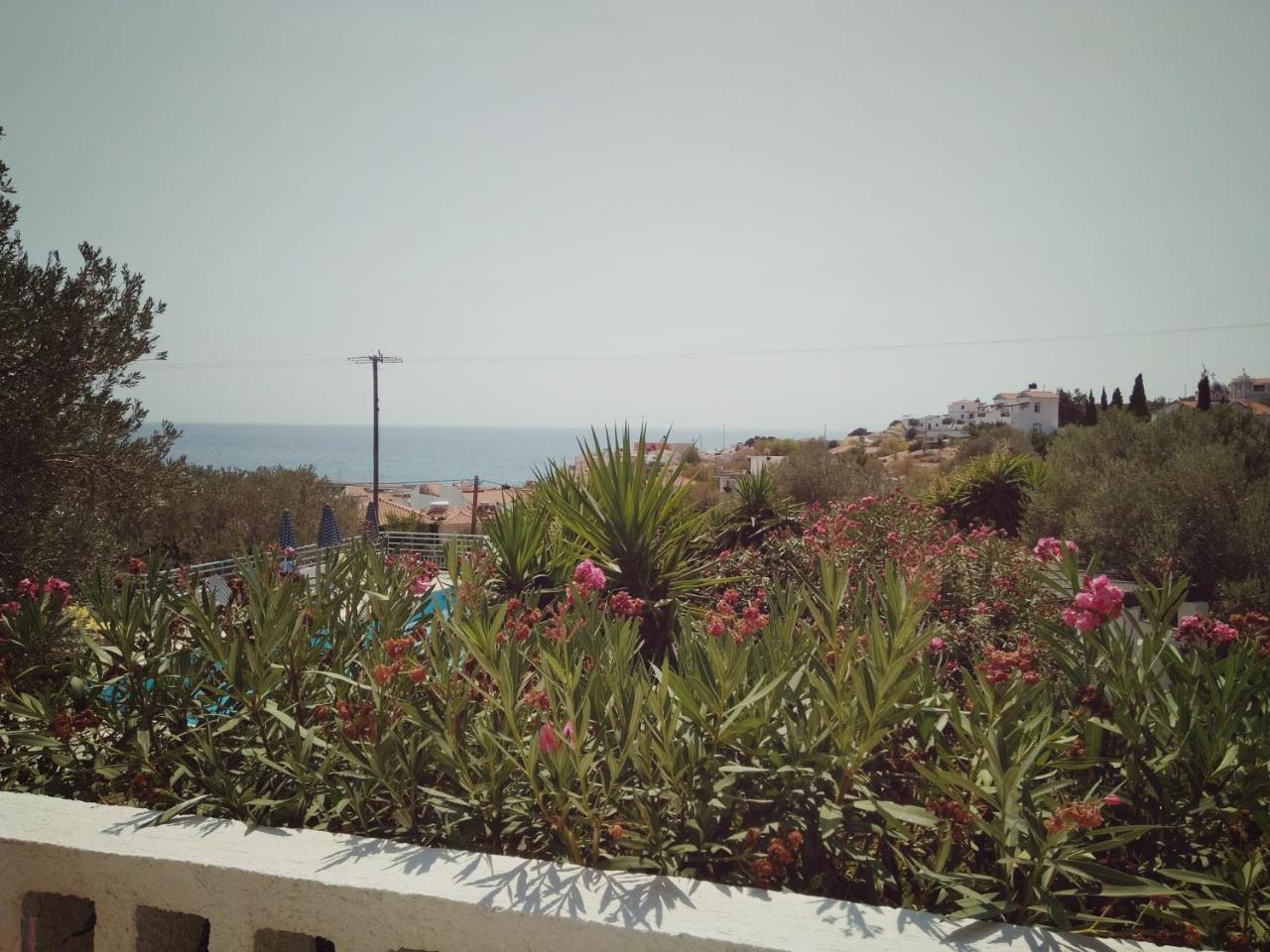 Vigla-Βίγλα 1 2 Villa Ormos  ภายนอก รูปภาพ