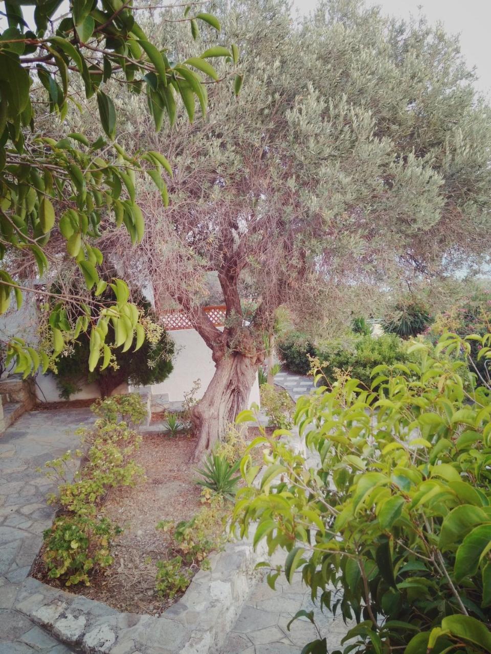 Vigla-Βίγλα 1 2 Villa Ormos  ภายนอก รูปภาพ