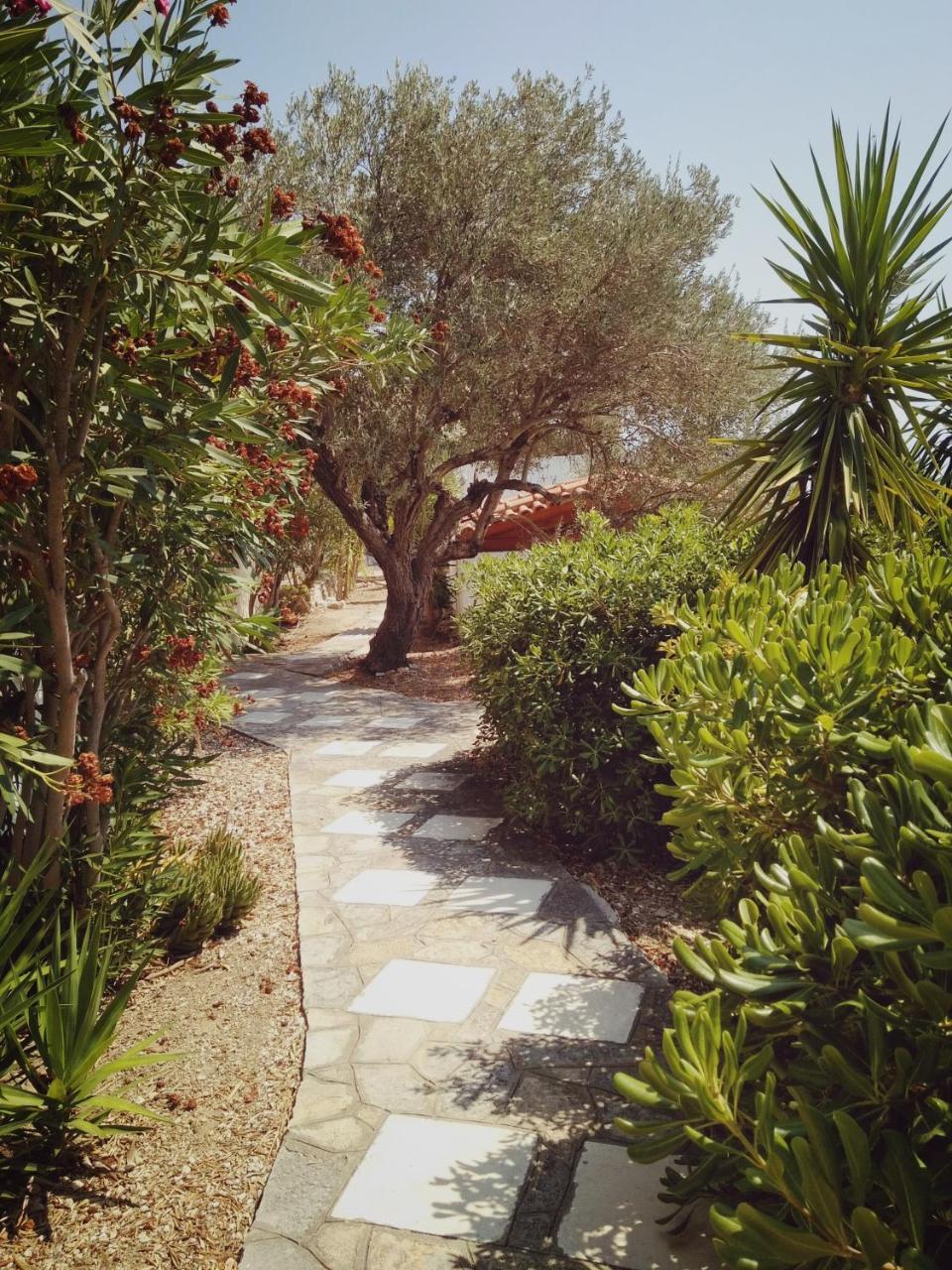 Vigla-Βίγλα 1 2 Villa Ormos  ภายนอก รูปภาพ