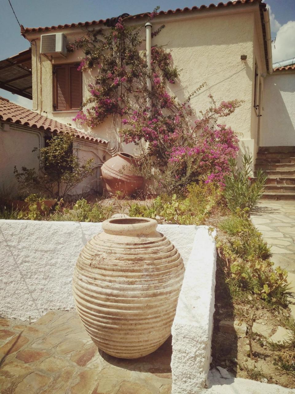 Vigla-Βίγλα 1 2 Villa Ormos  ภายนอก รูปภาพ